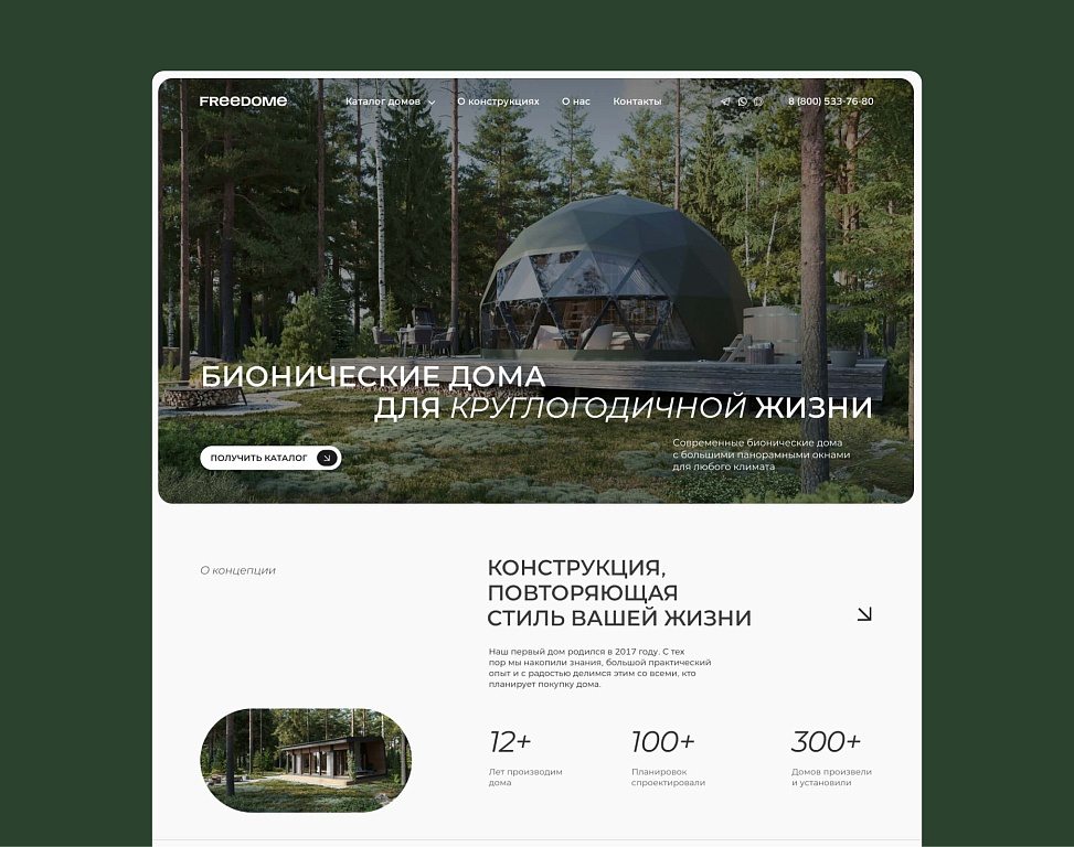 Пример дизайна сайта для компании-производителя бионических домов для жизни